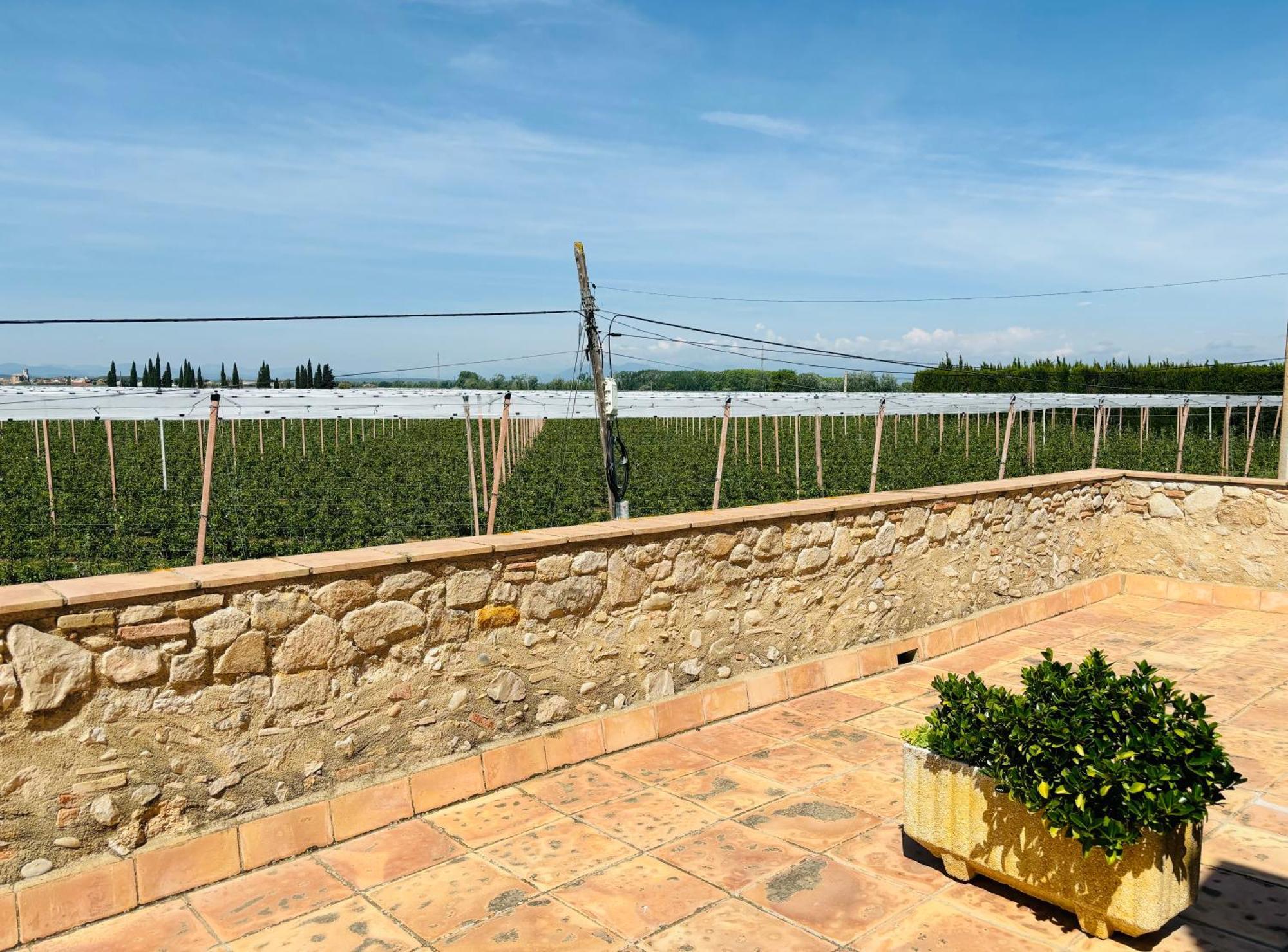 Mas Casa de camp Sant Pere Pescador